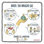 Dios: su brazo (6)